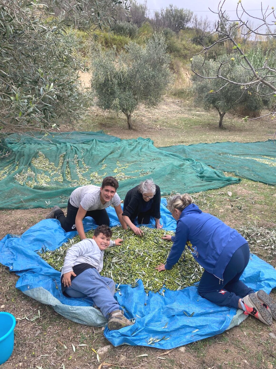 Campi coltivati e vigneti in Calabria con una famiglia al lavoro